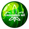 Cannabis Oil - remédio para hipertensão