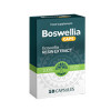 Boswellia - tratamento para parar de fumar.