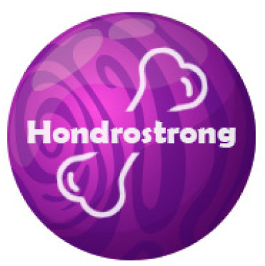 Hondrostrong - creme para a saúde das articulações