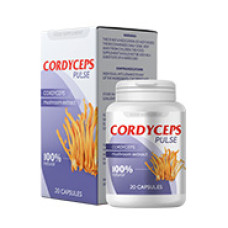Cordyceps Pulse - aumenta a potência