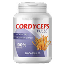 Cordyceps Pulse - para manter a pressão arterial normal